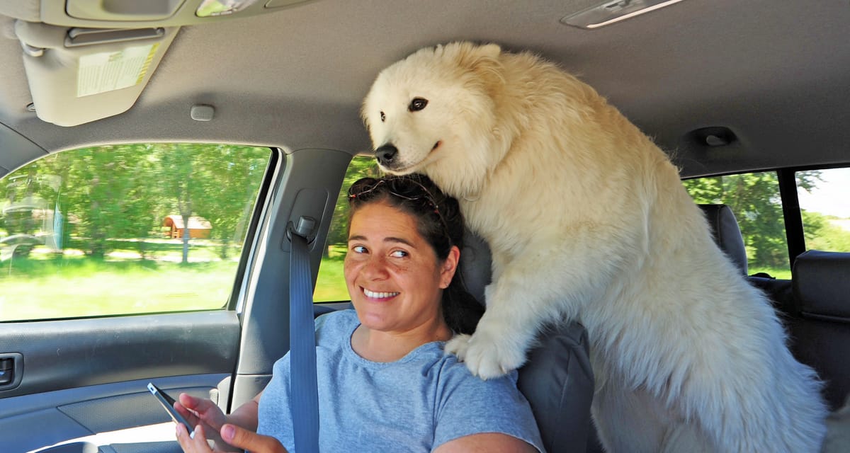 Day 4: Bozeman to Fort Peck
