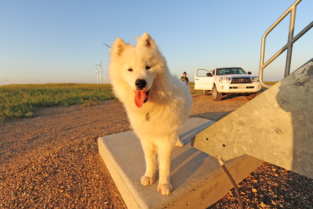 Day 7: Bismarck to Forbes