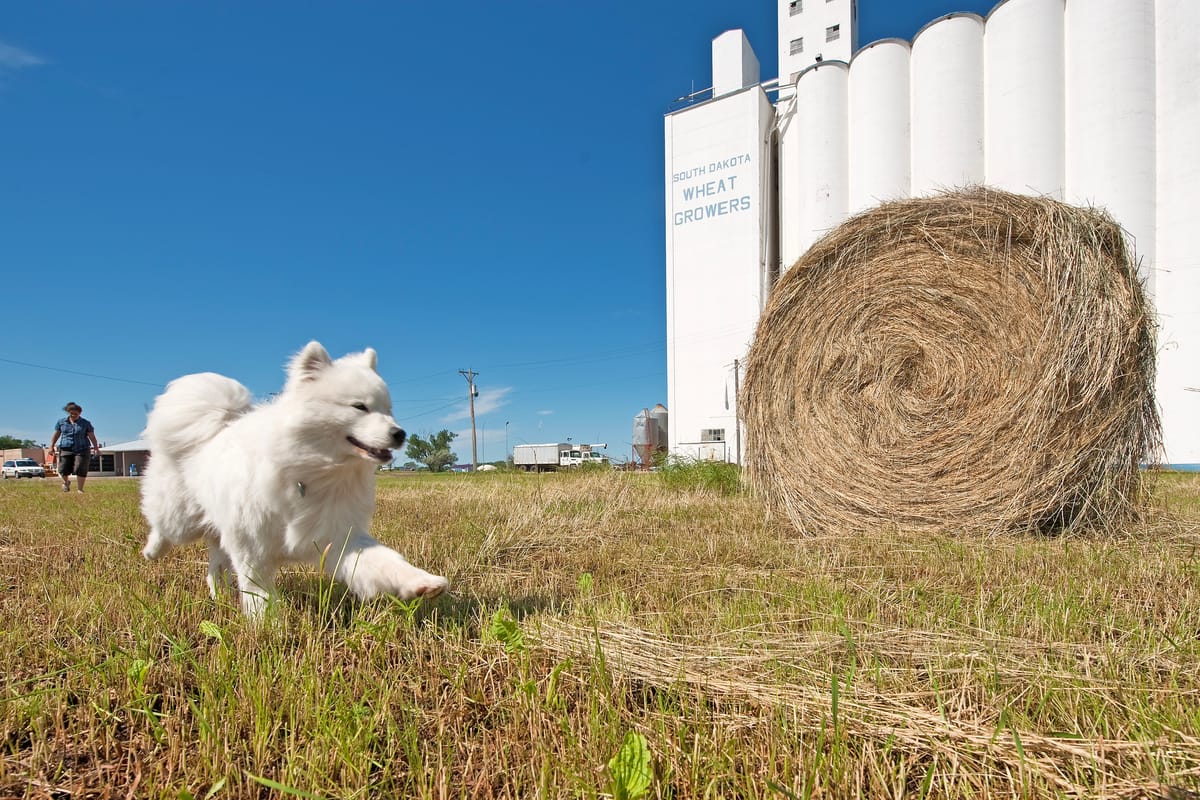 Day 9: Forbes to Pierre