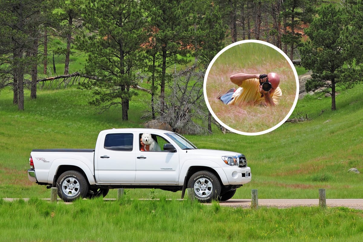 Day 12: Rapid City to Red Lodge