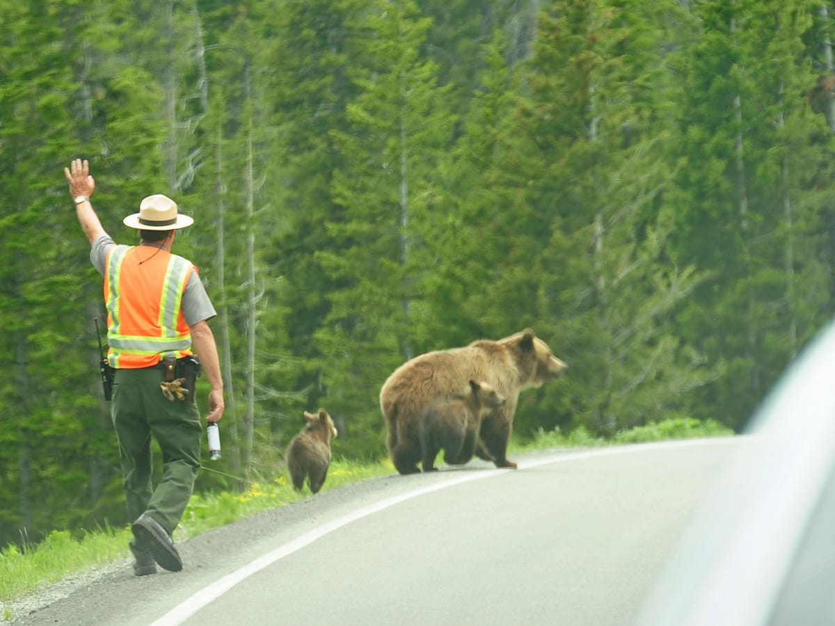 Day 14: Yellowstone National Park