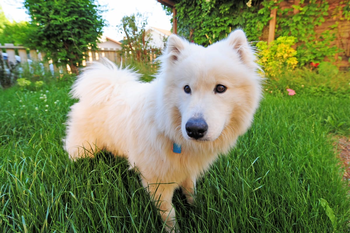 Day 18: Joseph to Seattle