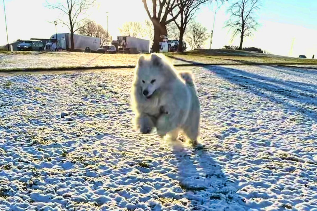 Day 7: Sioux City to Rapid City, SD