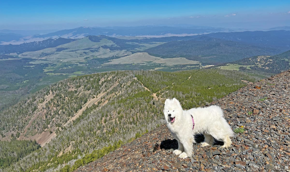 Highland Lookout with Isaac