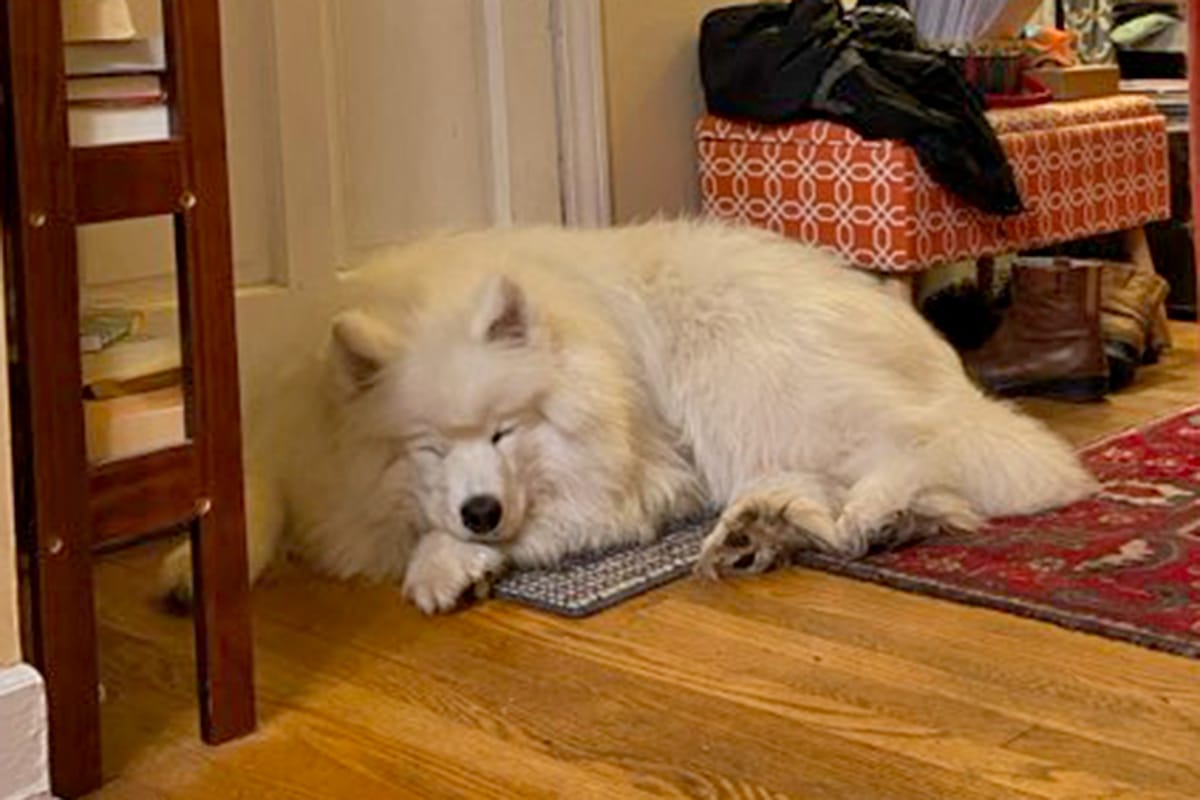 Day 4: Three Rivers to Evanston, IL