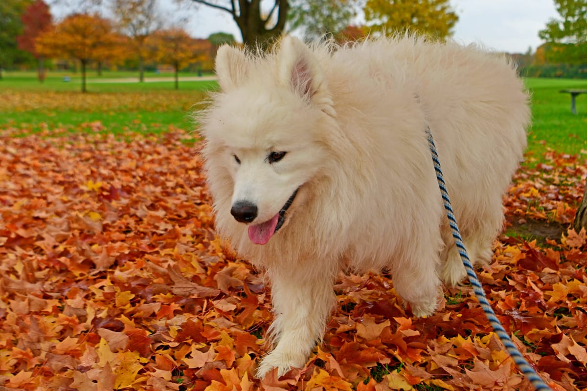Day 3: Janesville to Three Rivers, MI