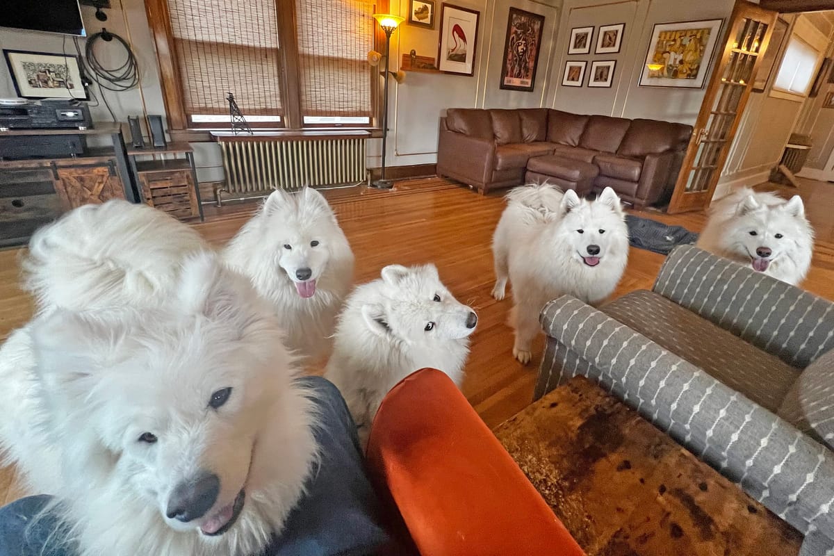 George’s birthday party!