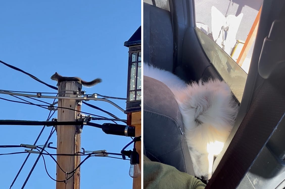 Isaac's squirrel friend