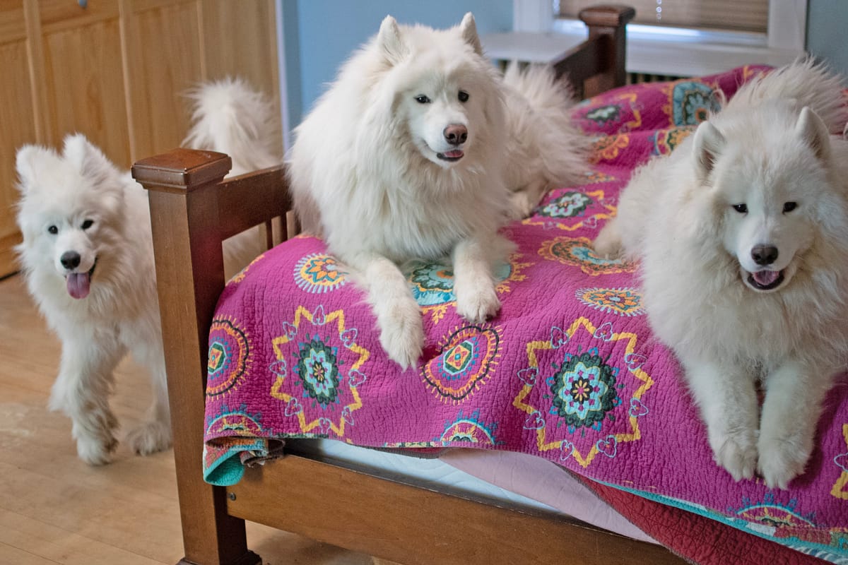 TBT: New Years since 2010