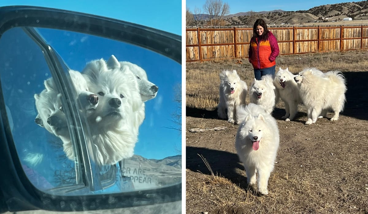 Visiting Strummer and Zevon