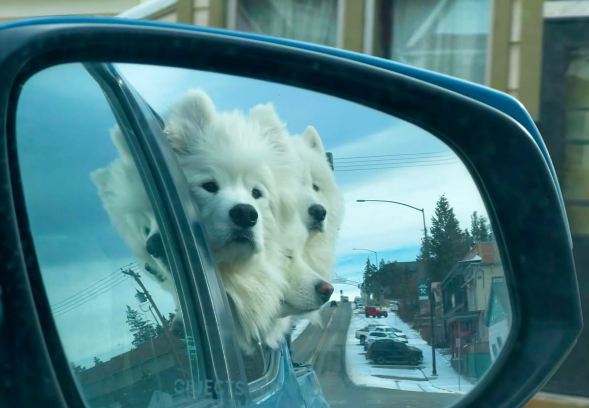 Driving to an appointment