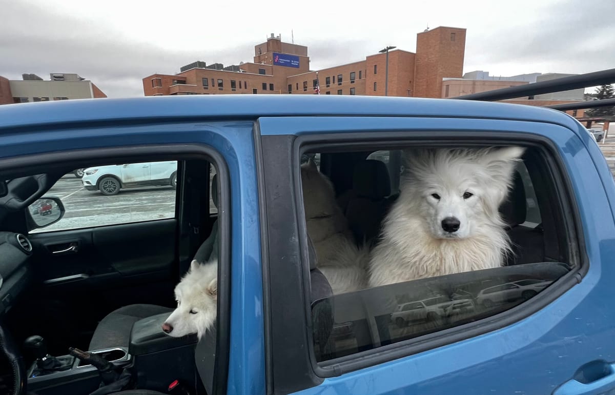 Off to an appointment