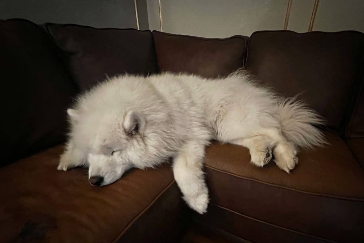 Nancy says good night