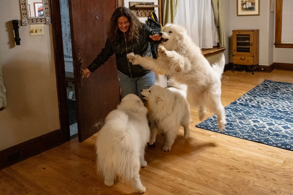 Wayback Wednesday: greeting Megan