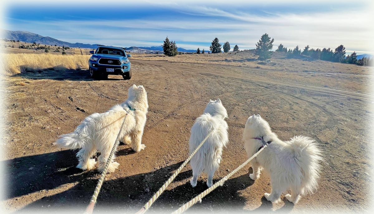 Tuesday afternoon walk