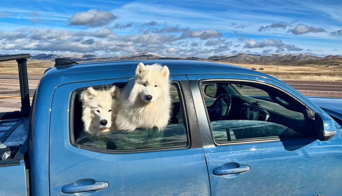 Throwback Thursday: Nancy and Isaac as a 2-dog pack