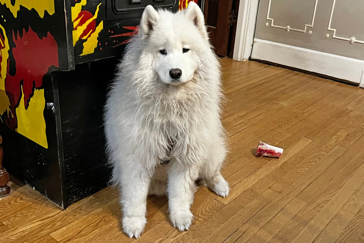 the patience of Nancy