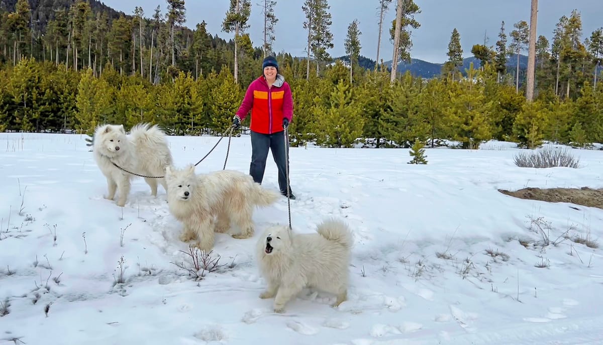 Sunday afternoon pack outing