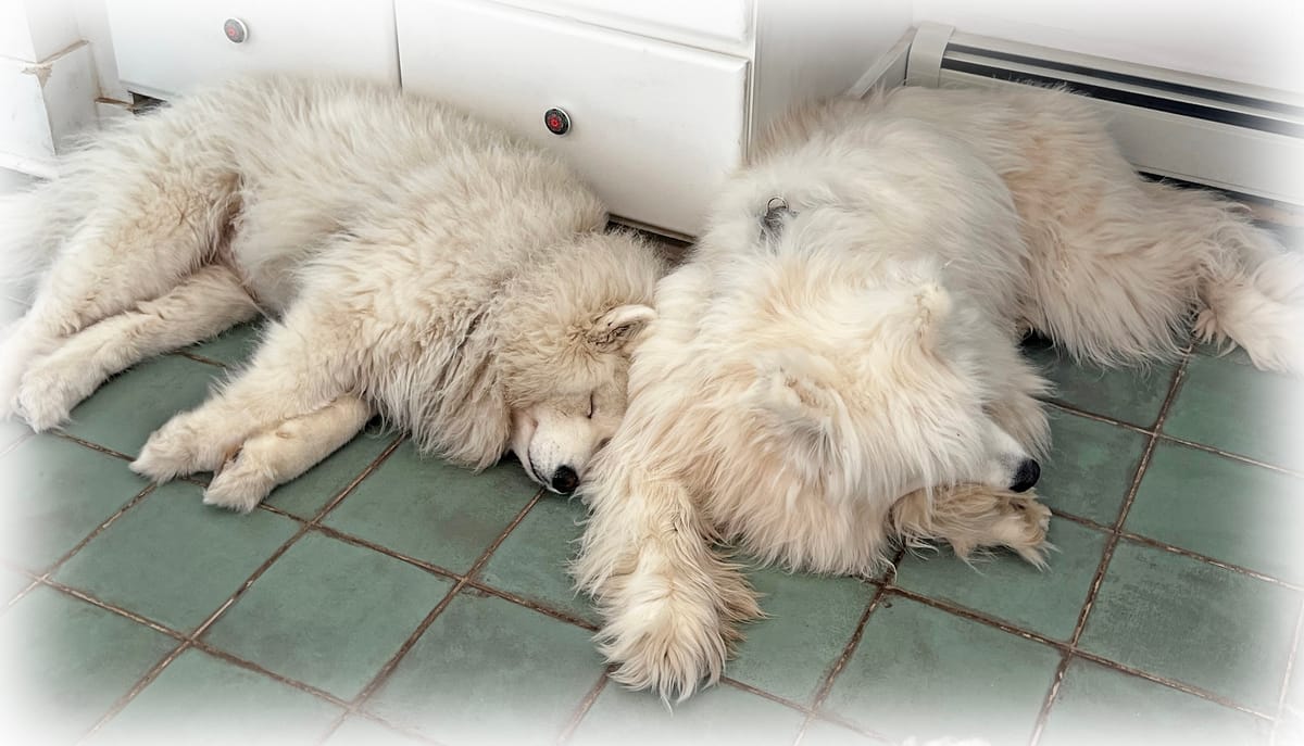 Recovering from snow day