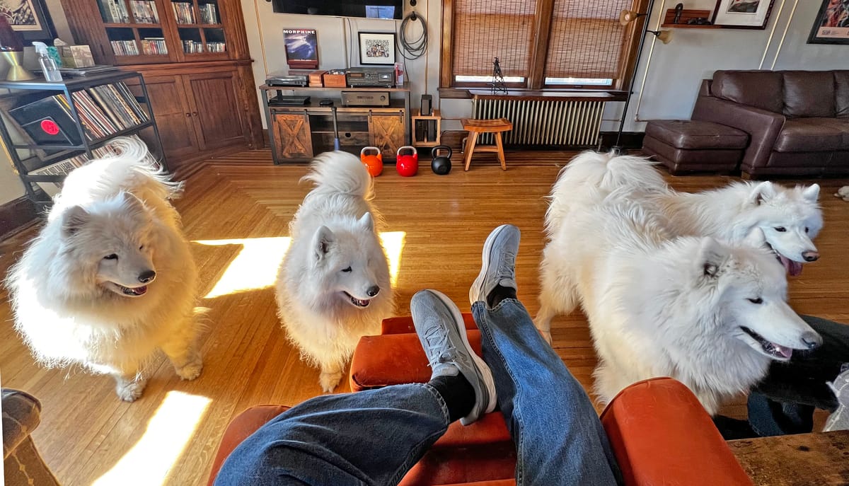 A visit from Strummer & Zevon