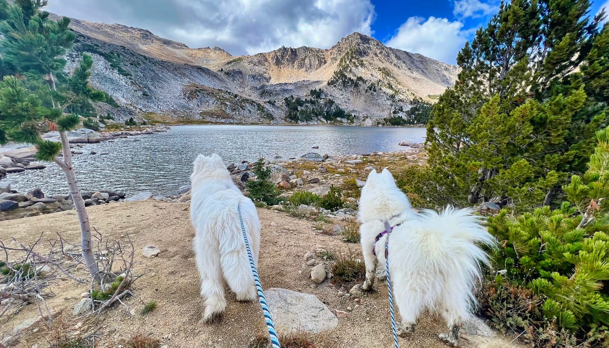 Throwback Thursday: Tendoy Lake