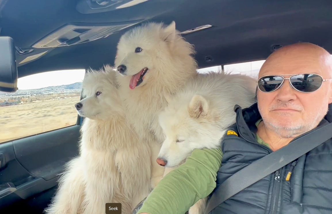 The dump and the Highlands