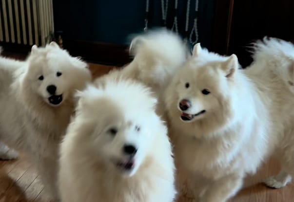 Saturday afternoon drive