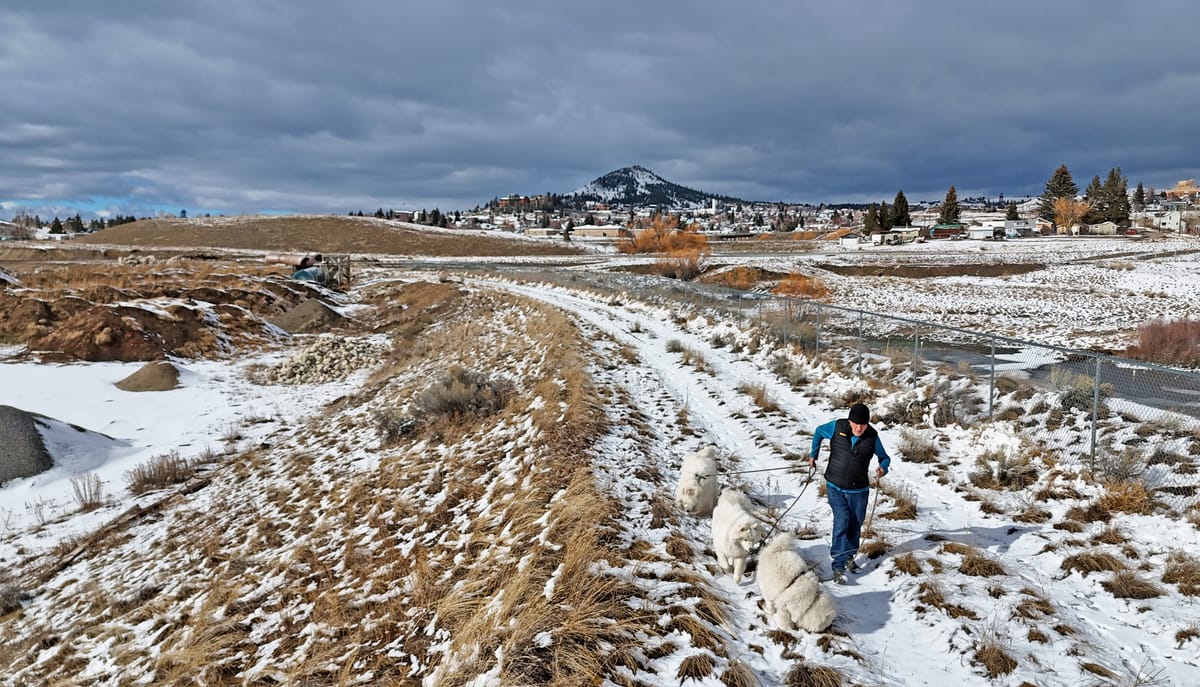 A walk while running errands