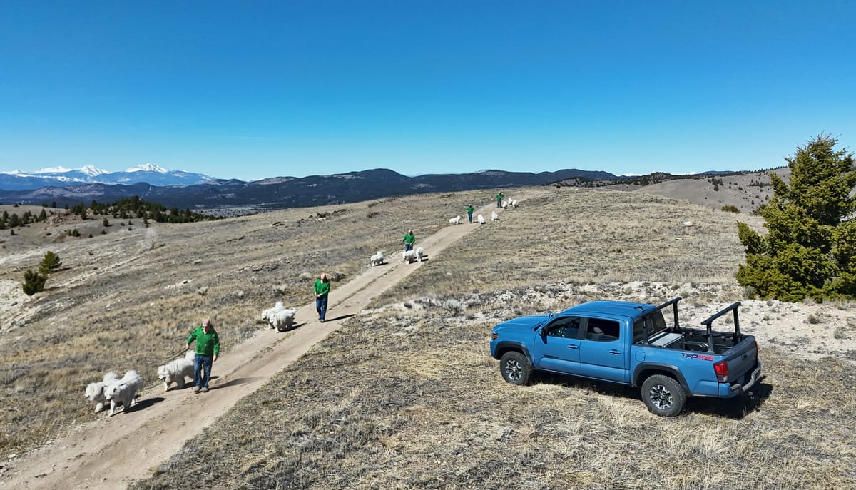 Friday afternoon walk