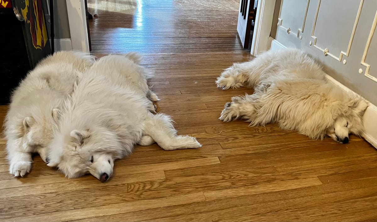 PT coaches hard at work