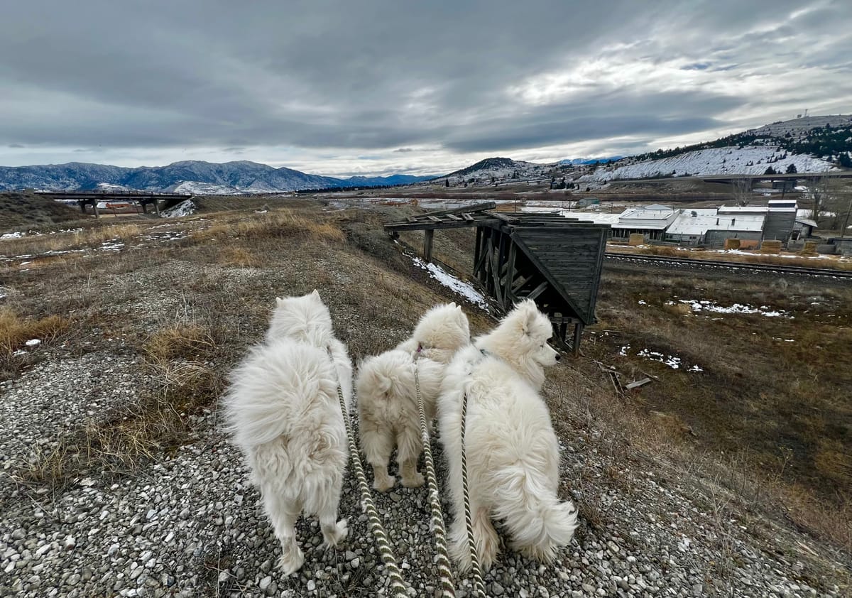 A windy walk on the edge of town
