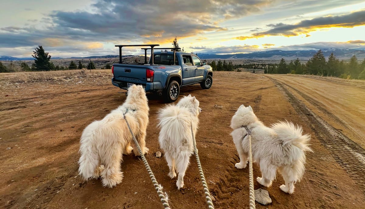 A walk and sunset drive