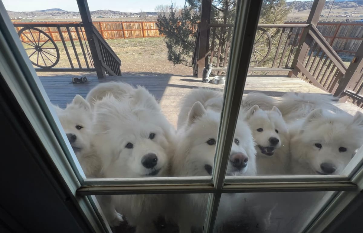 Visiting Strummer and Zevon!