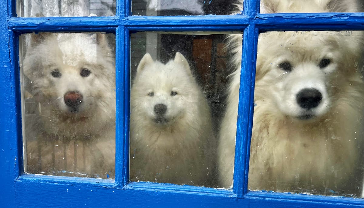 Watching Craig drive away