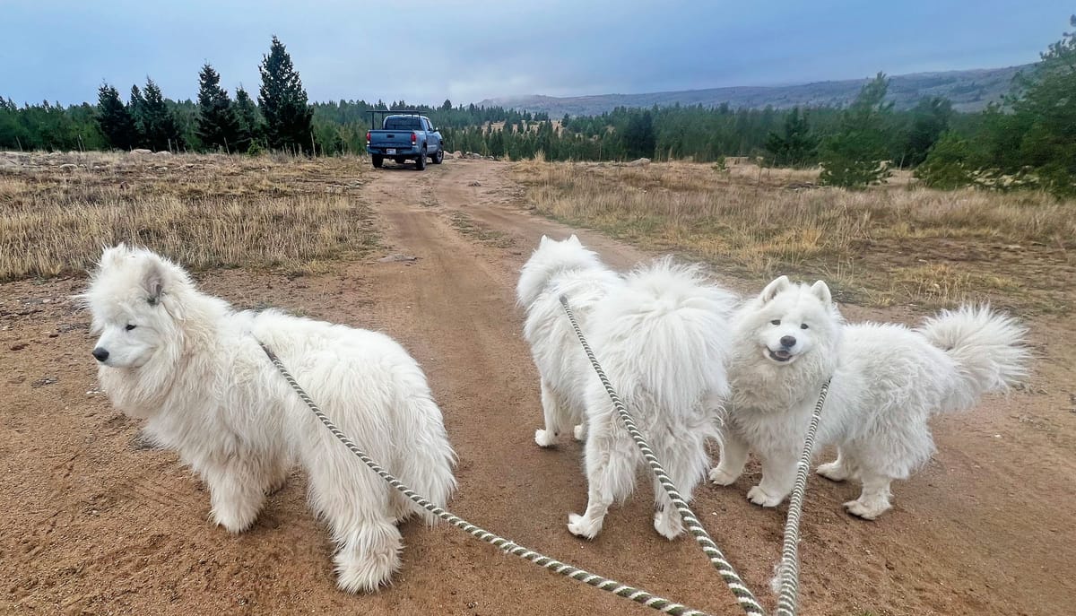 A walk after the rain
