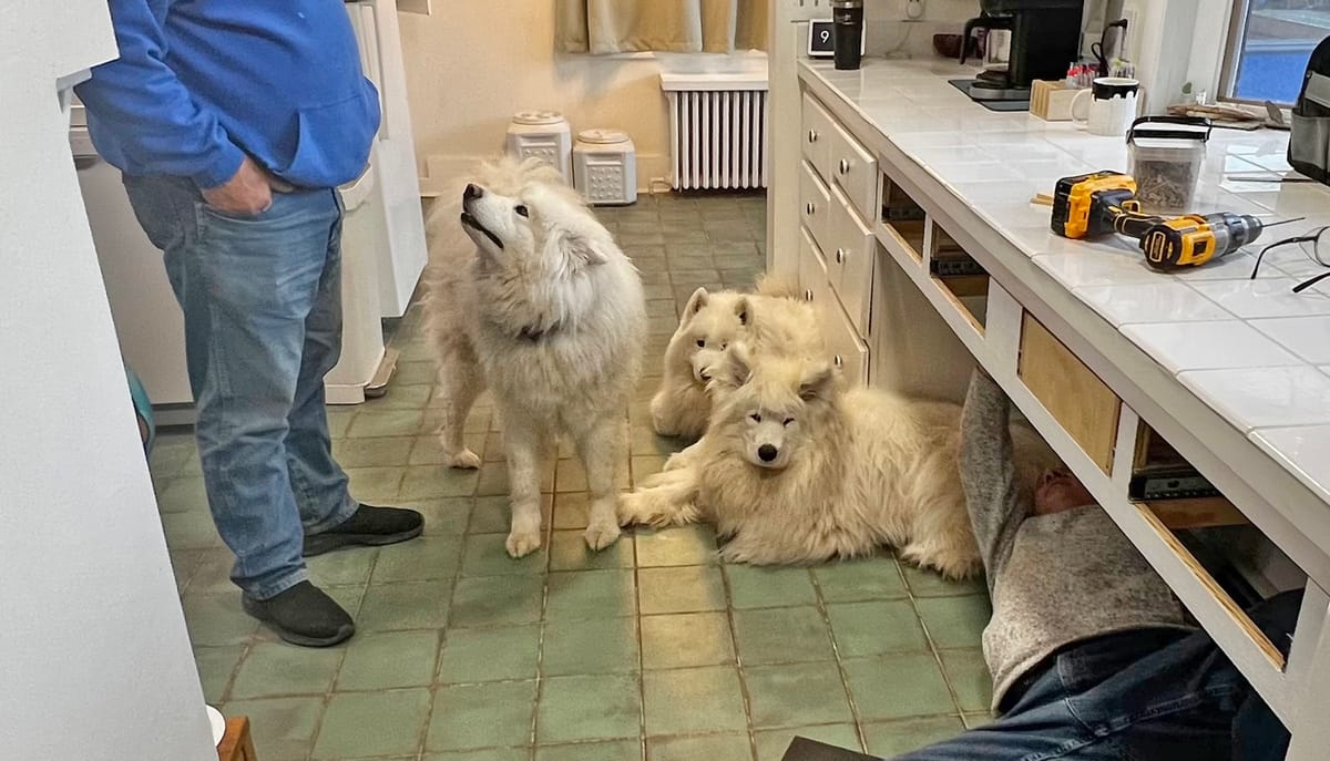 Supervising the kitchen project