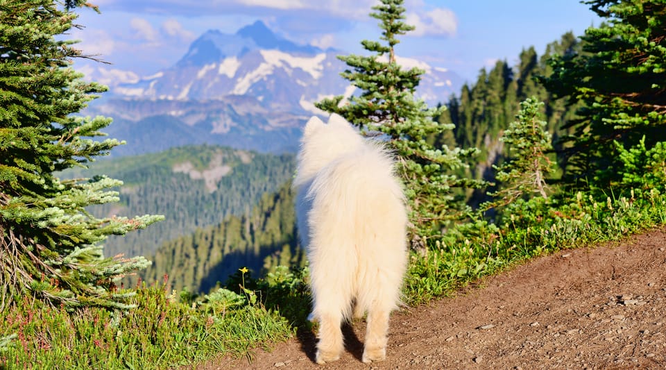Skyline Divide Trail