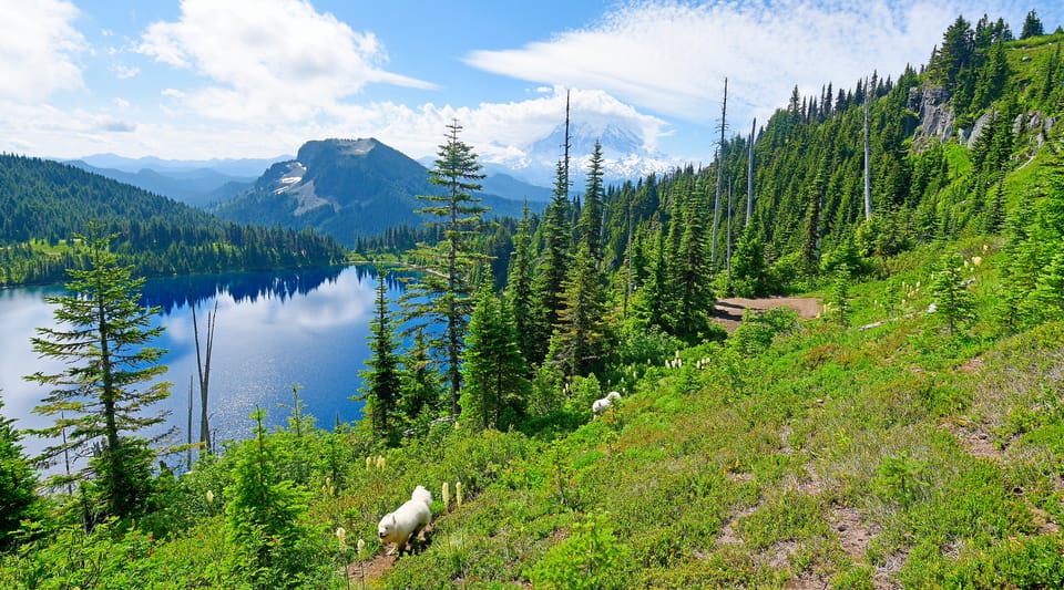 Summit Lake