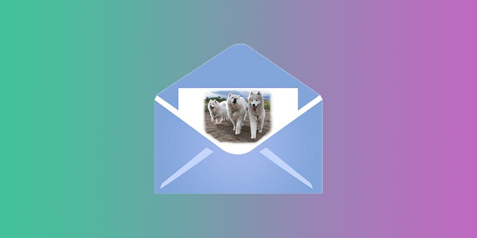 Managing email notifications