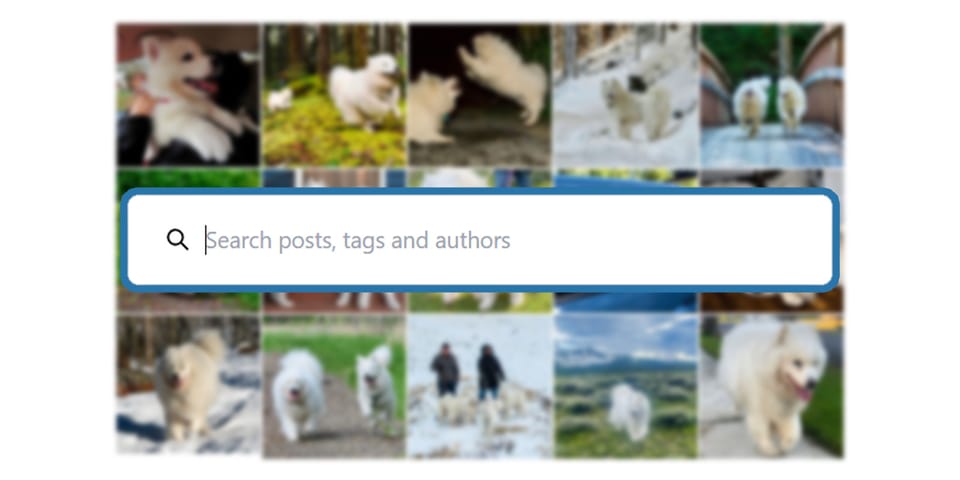 Searching this website