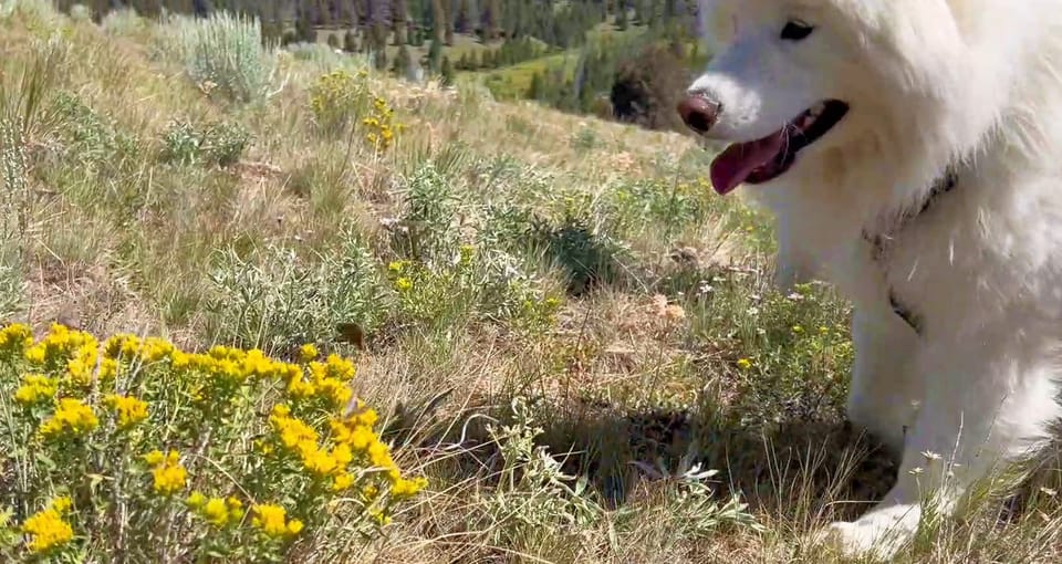 A new hill in the Highlands