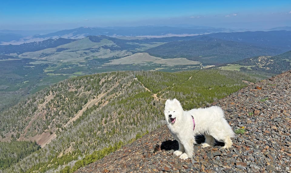 Highland Lookout with Isaac