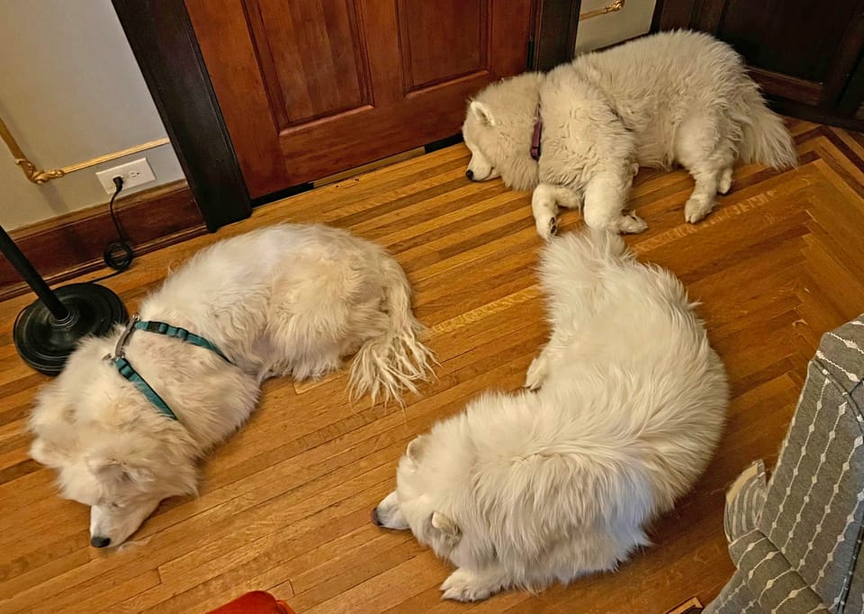 Behind Megan's chair