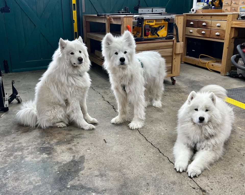 Cleaning the workshop