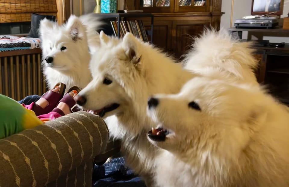 Nancy says it’s dinner time!