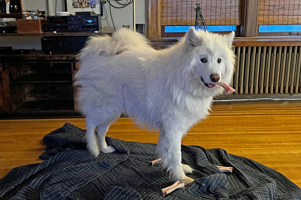 Happy Birthday, George!