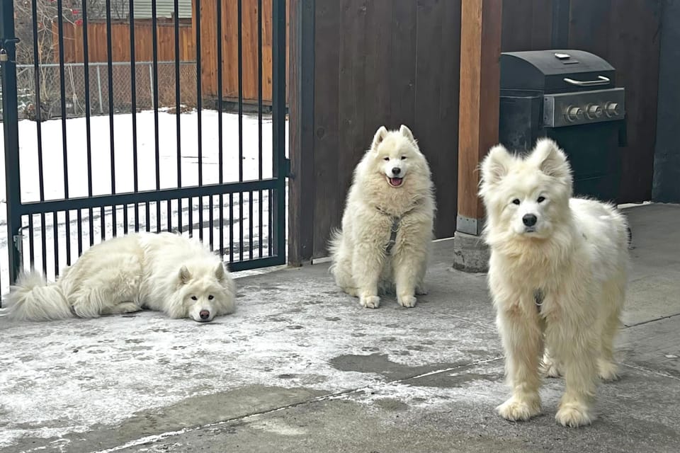 Waiting for the party to start