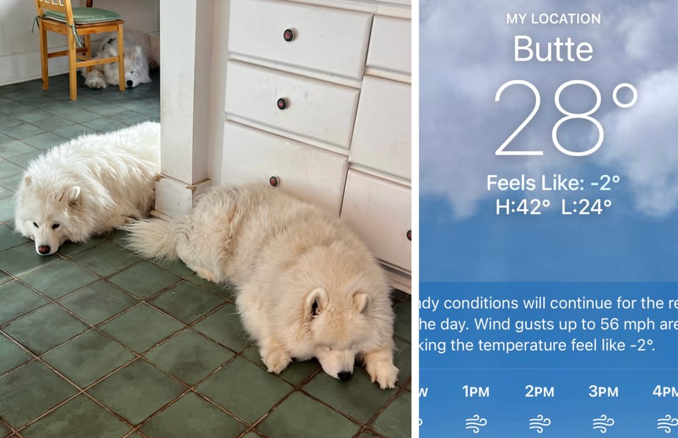 Staying out of the wind