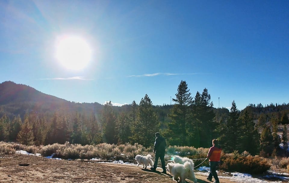 Sunday afternoon walk