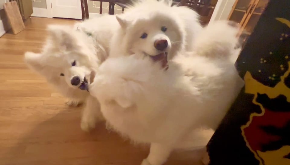 Everyone against Nancy